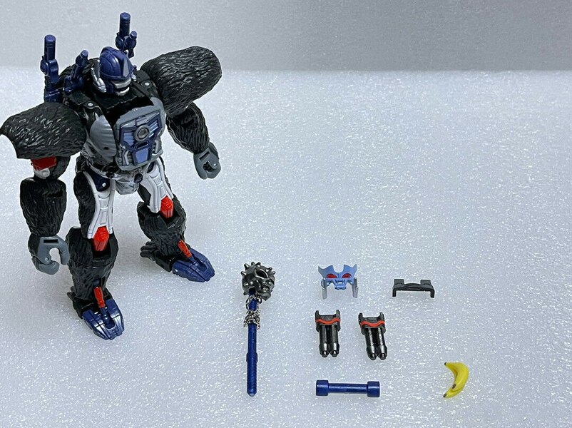 So Cool Upgrade Kit For Kingdom Optimus Primal Upgrade Kit  (8 of 8)